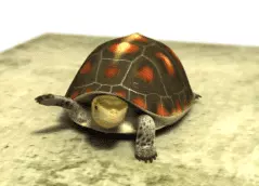 1n5msvdmwyp.gif