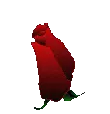 ni4fxet0fp0.gif